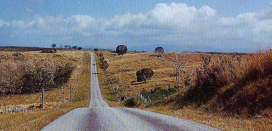 Road through the Cuban countryside