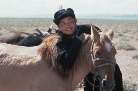 Boy and Horse