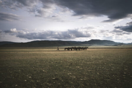 Gobi Desert