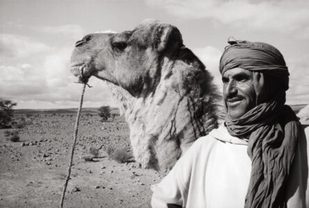 M’barek and Camel, Sahara