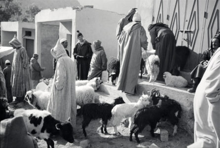 Village Market