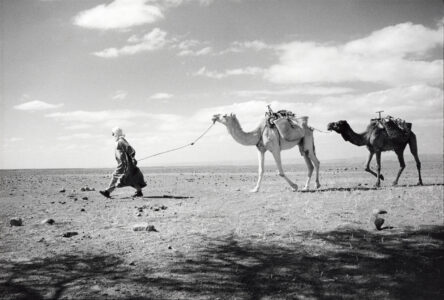 Crossing the Desert, Sahara