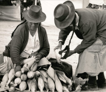 Buying Corn