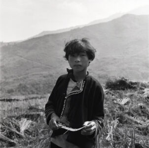 Sickle, Hmong Boy